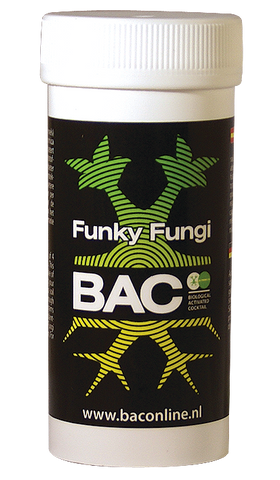 bac-schimmels-kopen